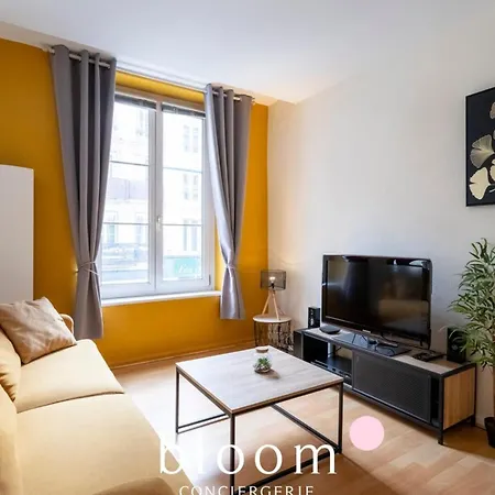 アパート Le Prestige Stanislas 65m2 Equipe