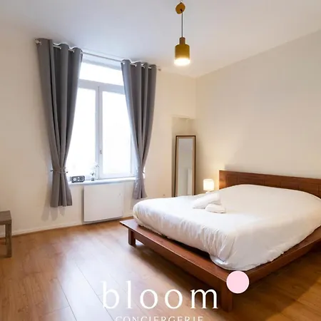 Le Prestige Stanislas 65m2 Equipe * ナンシー